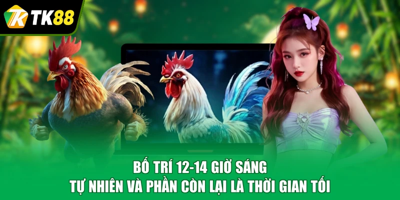 Bố trí 12-14 giờ sáng tự nhiên và phần còn lại là thời gian tối