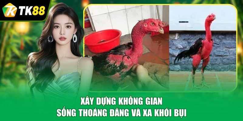 Xây dựng không gian sống thoáng đãng và xa khói bụi